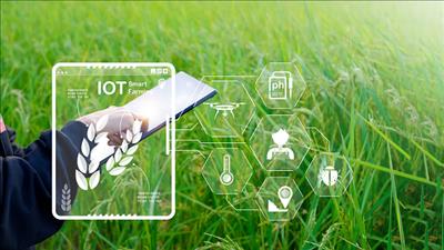 Công bố Đề án sản xuất giảm phát thải lĩnh vực trồng trọt tầm nhìn đến năm 2050