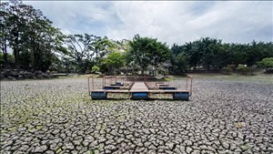 Liên Hợp Quốc cảnh báo El Nino mạnh nhất trong nhiều thập kỷ