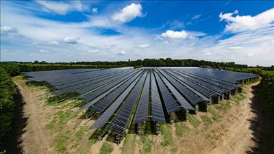 Dự án pin năng lượng mặt trời dành riêng cho lĩnh vực nông nghiệp