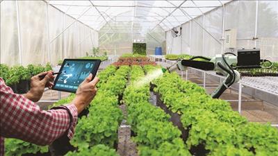 Đề xuất dự án khu nông nghiệp năng lượng xanh - thông minh tại Thanh Hóa