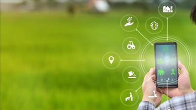 Australia tiếp tục hỗ trợ các giải pháp nông nghiệp ứng phó với biến đổi khí hậu tại Việt Nam