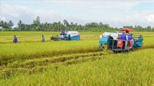 Chuyển đổi hệ thống lương thực theo hướng minh bạch, bền vững