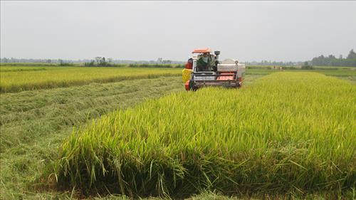 Bộ Nông nghiệp và Môi trường thành lập 10 đoàn công tác hỗ trợ địa phương vận hành chính quyền 2 cấp