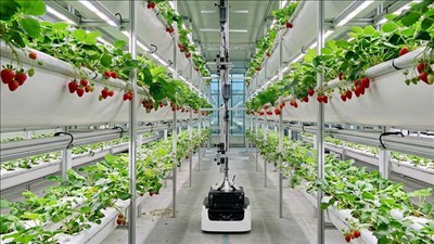 Đồng hành cùng nông dân Thủ đô phát triển nông nghiệp đô thị sinh thái, xanh, bền vững