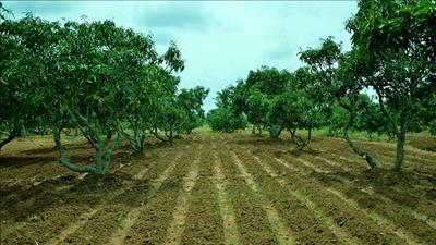 Hỗ trợ phát triển nông nghiệp hữu cơ
