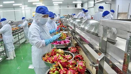 Thủ tướng chỉ đạo chủ động triển khai các biện pháp bảo đảm sản xuất, chế biến, tiêu thụ và xuất khẩu nông sản
