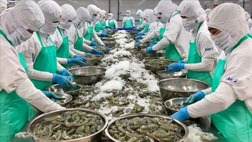 Doanh nghiệp Việt tìm hiểu cơ hội xúc tiến thương mại, nhập khẩu hàng nông lâm thủy sản của Hoa Kỳ
