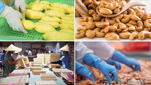 Phấn đấu xuất khẩu nông, lâm, thủy sản đạt trên 65 tỷ USD trong năm 2025