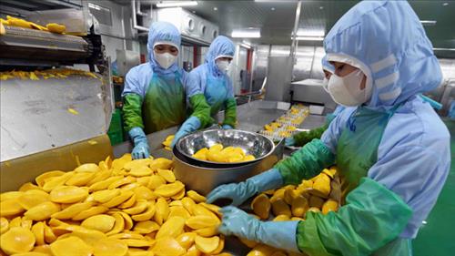 Xuất khẩu nông, lâm, thủy sản trong 10 tháng đạt hơn 58 tỷ USD