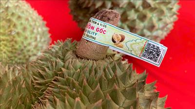 Xây dựng và đưa vào sử dụng thí điểm Hệ thống truy xuất nguồn gốc nông sản