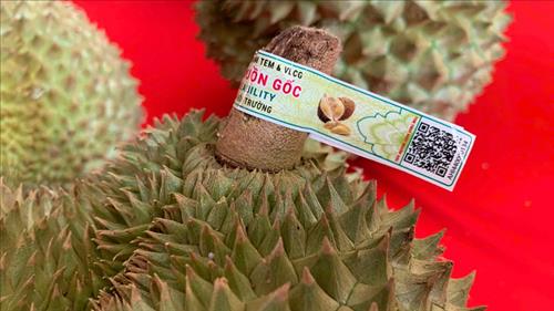 Xây dựng và đưa vào sử dụng thí điểm Hệ thống truy xuất nguồn gốc nông sản