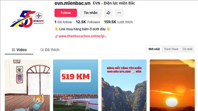 Cảnh báo mạo danh EVNNPC trên nền tảng video và mạng xã hội Tiktok để lừa đảo