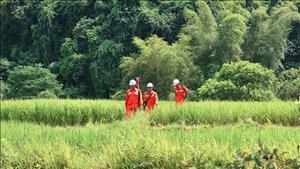 EVNNPC tinh gọn đến cấp cơ sở, nâng cao dịch vụ khách hàng và hiệu quả vận hành