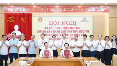 Tỉnh Thái Nguyên và EVNNPC tăng cường hợp tác phát triển hạ tầng điện