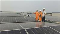 EVNNPC quyết tâm hoàn thành toàn diện các mục tiêu, nhiệm vụ năm 2026
