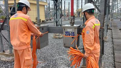 EVNNPT yêu cầu các đơn vị chủ động ứng phó với bão số 11 và hoàn lưu bão