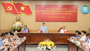 EVNNPT đề nghị tỉnh Cà Mau quyết liệt tháo gỡ vướng mắc, đẩy nhanh tiến độ các dự án truyền tải điện