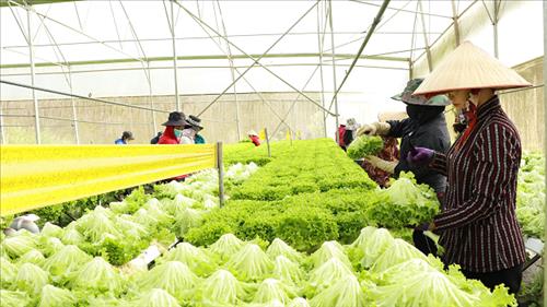 Phối hợp đẩy mạnh sản xuất, kinh doanh nông sản thực phẩm chất lượng, an toàn