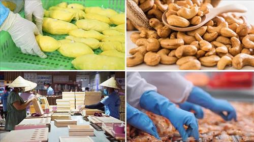 Kim ngạch xuất khẩu nông lâm thủy sản tháng 1/2026 ước đạt gần 6,51 tỷ USD 