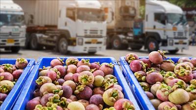 Phát triển hệ thống logistics nhằm nâng cao chất lượng và năng lực cạnh tranh của nông sản