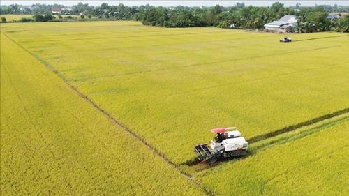 Phát triển kinh tế nông thôn theo hướng tích hợp đa giá trị và đáp ứng nhu cầu thị trường