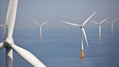 Điện gió ngoài khơi sẽ có đà tăng trưởng rất mạnh trong tương lai 