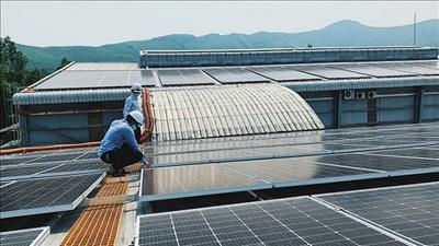 Hòa lưới thành công hệ thống ĐMTAM công suất gần 1.000kWp