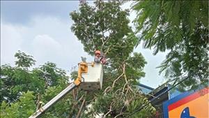 Chủ động các biện pháp ứng phó để giảm thiểu thiệt hại do bão có thể gây ra
