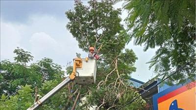 Chủ động các biện pháp ứng phó để giảm thiểu thiệt hại do bão có thể gây ra