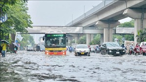 Hà Nội triển khai công tác phòng, chống thiên tai cực đoan và biến đổi khí hậu