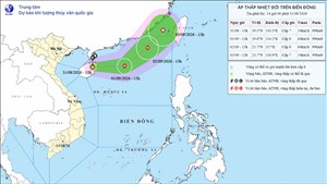 Chuẩn bị ứng phó với áp thấp nhiệt đới có khả năng mạnh lên thành bão