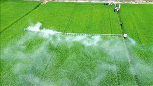 Thúc đẩy chuyển đổi mô hình tăng trưởng, gia tăng sức chống chịu trước biến đổi khí hậu