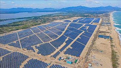Dự kiến giữa năm 2021, Nhà máy điện mặt trời Phù Mỹ hoàn thành toàn bộ