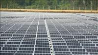 Phú Yên rà soát, tăng cường quản lý hoạt động của các dự án năng lượng tái tạo