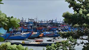 Ứng phó cơn bão số 15 và tiếp tục khắc phục hậu quả mưa lũ tại các tỉnh miền Trung