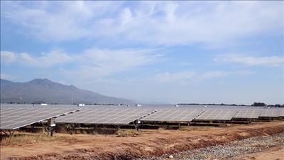 Kiểm tra tiến độ dự án Nhà máy Điện mặt trời Phước Thái 1