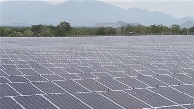 Lãnh đạo EVN kiểm tra vận hành Nhà máy điện mặt trời Phước Thái 1