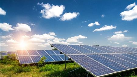 Phủ quyết đề xuất bãi bỏ miễn thuế tấm pin mặt trời nhập khẩu từ Việt Nam