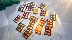 Kỷ lục thế giới về hiệu suất tế bào pin mặt trời thế hệ mới