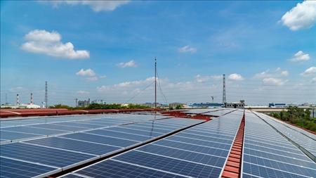 Quảng Trị chấp thuận chủ trương khảo sát dự án sản xuất pin năng lượng mặt trời