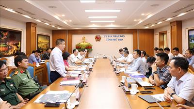 Xúc tiến triển khai các dự án truyền tải điện cấp bách phục vụ nhập khẩu điện từ Lào