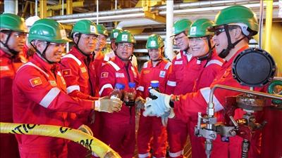 PVEP triển khai quyết liệt các giải pháp hoàn thành nhiệm vụ kế hoạch sản xuất kinh doanh năm 2026