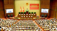 Tổng Bí thư, Chủ tịch nước Tô Lâm: Chủ trương đúng phải trở thành năng lực phát triển thực chất