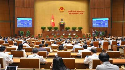 Quốc hội thống nhất áp thuế tiêu thụ đặc biệt với nước giải khát có đường, xăng, điều hòa