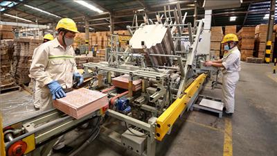 Đề xuất quy định về đào tạo, cấp chứng chỉ quản lý năng lượng và kiểm toán viên năng lượng
