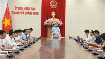 Tập trung tháo gỡ vướng mắc mặt bằng, bảo đảm tiến độ các dự án truyền tải điện tại Quảng Ninh
