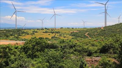 Tăng cường công tác quản lý nhà nước tại địa phương trong lĩnh vực điện gió