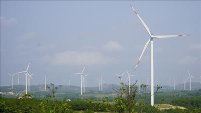 Quảng Ngãi cho phép nhà đầu tư tiếp tục khảo sát dự án điện gió Bùi Hui