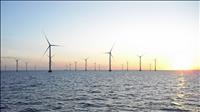 Tập đoàn Đan Mạch nghiên cứu đầu tư điện gió ngoài khơi tại Quảng Ninh