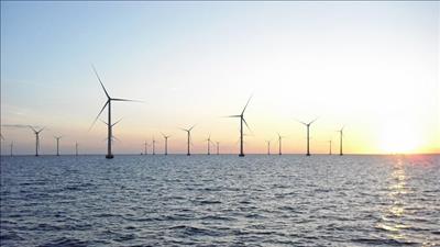 Tập đoàn Đan Mạch nghiên cứu đầu tư điện gió ngoài khơi tại Quảng Ninh